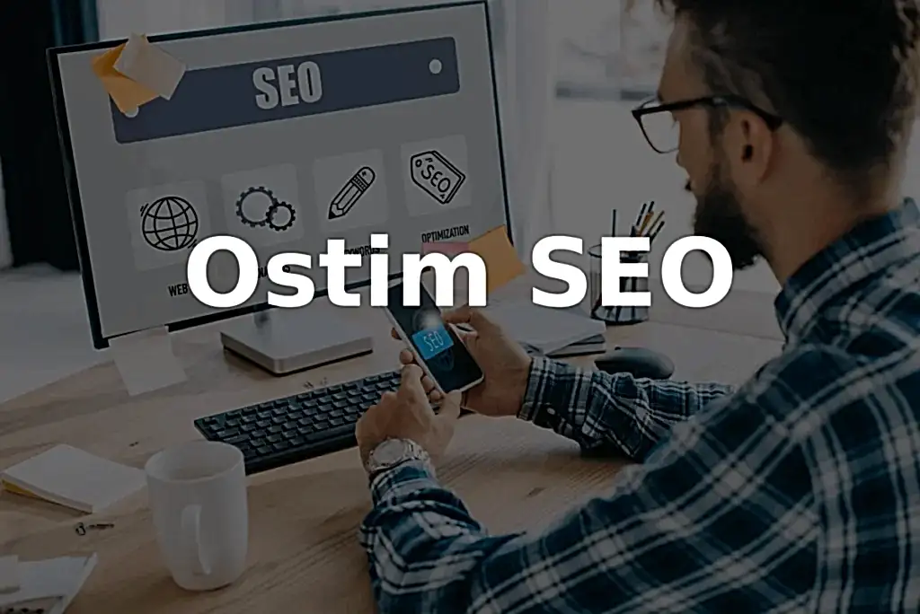 ostim seo